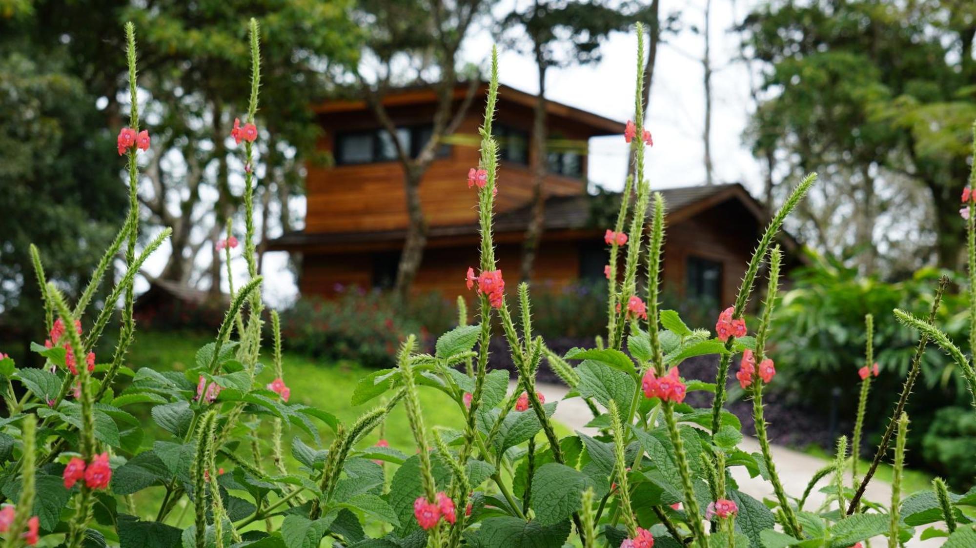 Lucero Golf And Country Club Tree Houses Boquete Ngoại thất bức ảnh